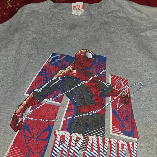 Marvel Spider-Man Bravery Graphic T-Shirt Gray