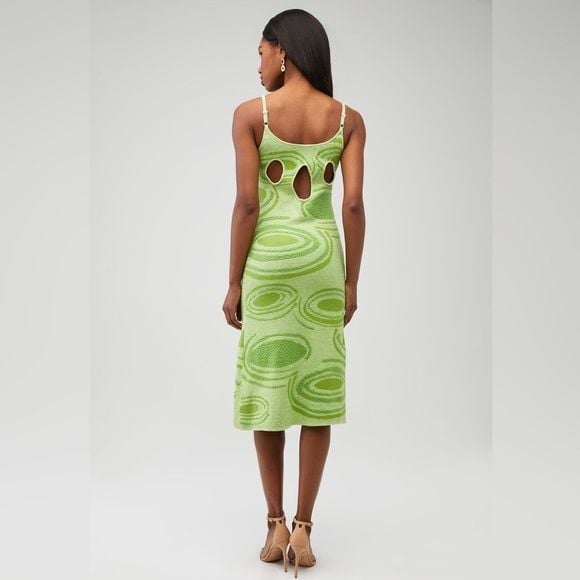 House of Sunny Hockney Dress 4