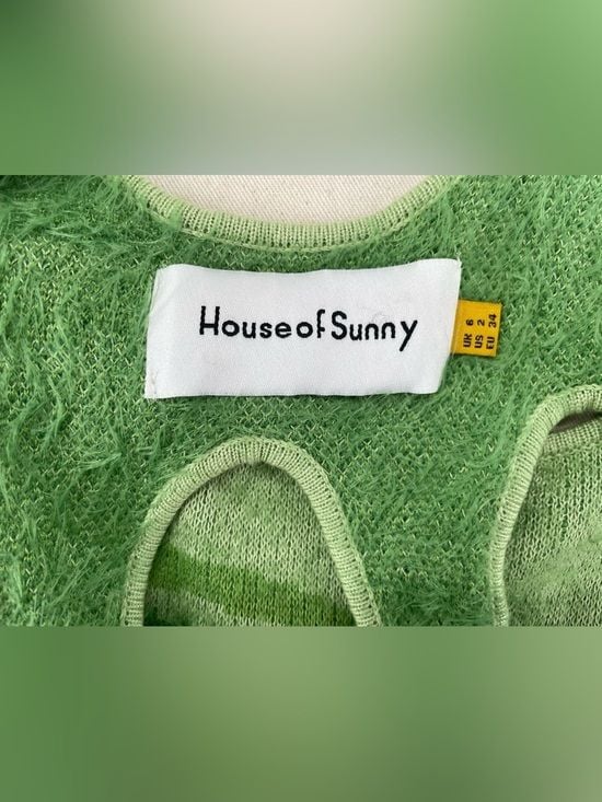 House of Sunny Hockney Dress 12