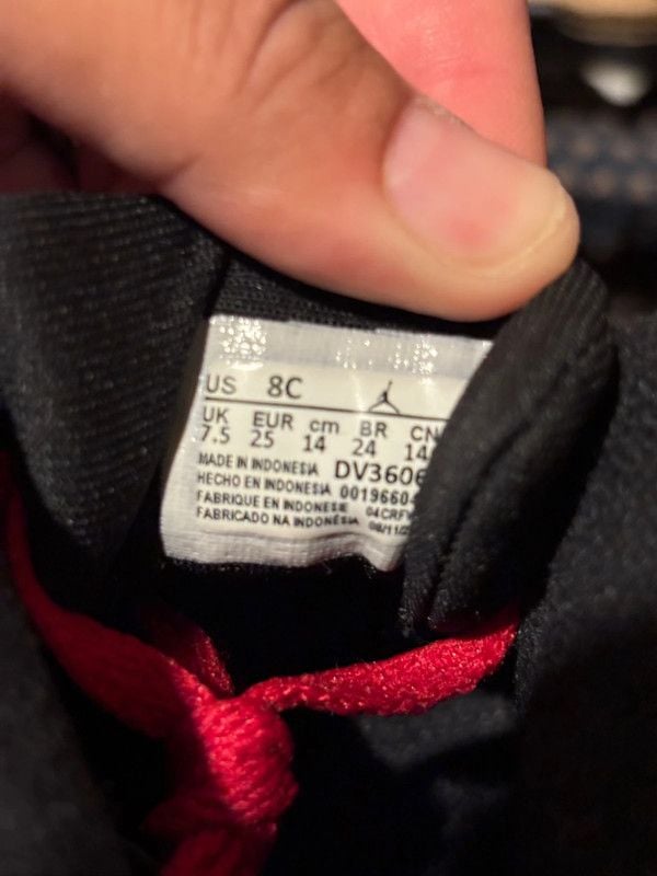 Jordan 6 Toro 4