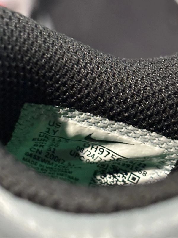 Nike Dunk 4