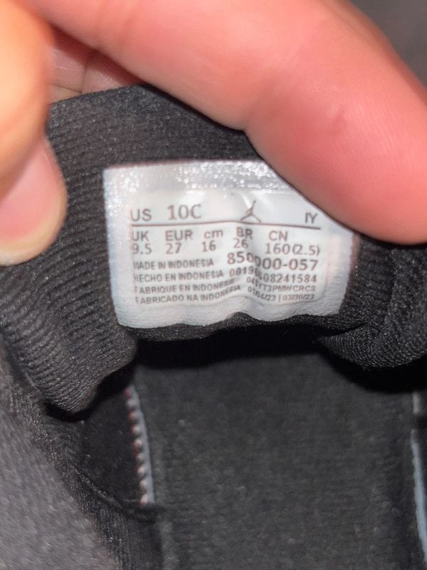 Jordan 12 retro 6