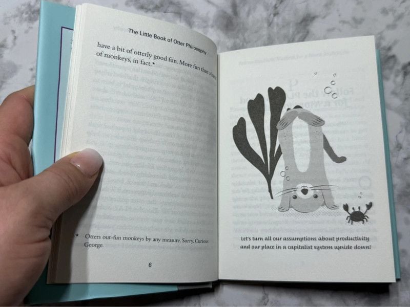 The Little Book of Otter Philosophy Jennifer McCartney 2019 Hardcover 3