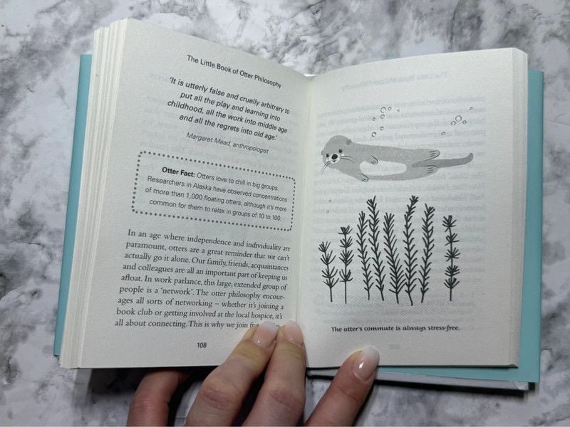 The Little Book of Otter Philosophy Jennifer McCartney 2019 Hardcover 5