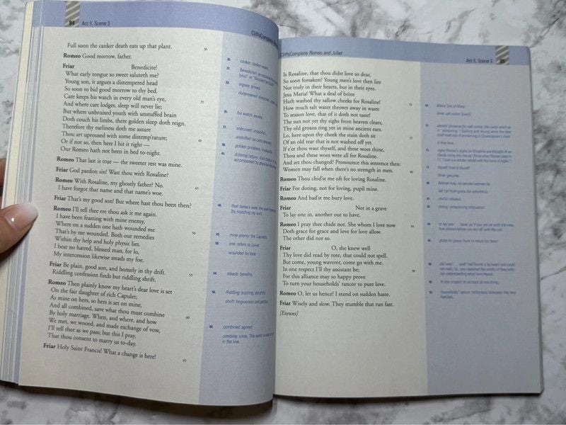 Romeo and Juliet Shakespeare Study Guide Bundle Annotated + CliffsComplete 11