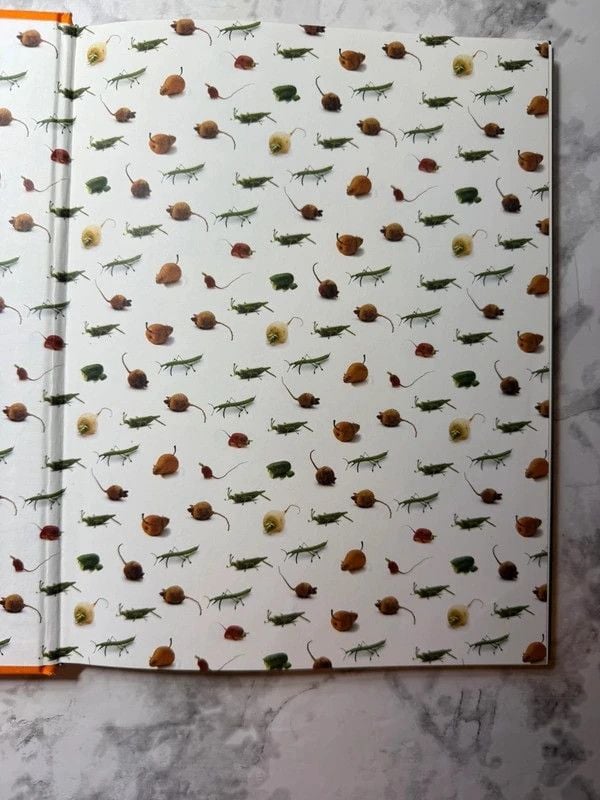 Play with Your Food Joost Elffers Saxton Freymann 2001 Hardcover 3