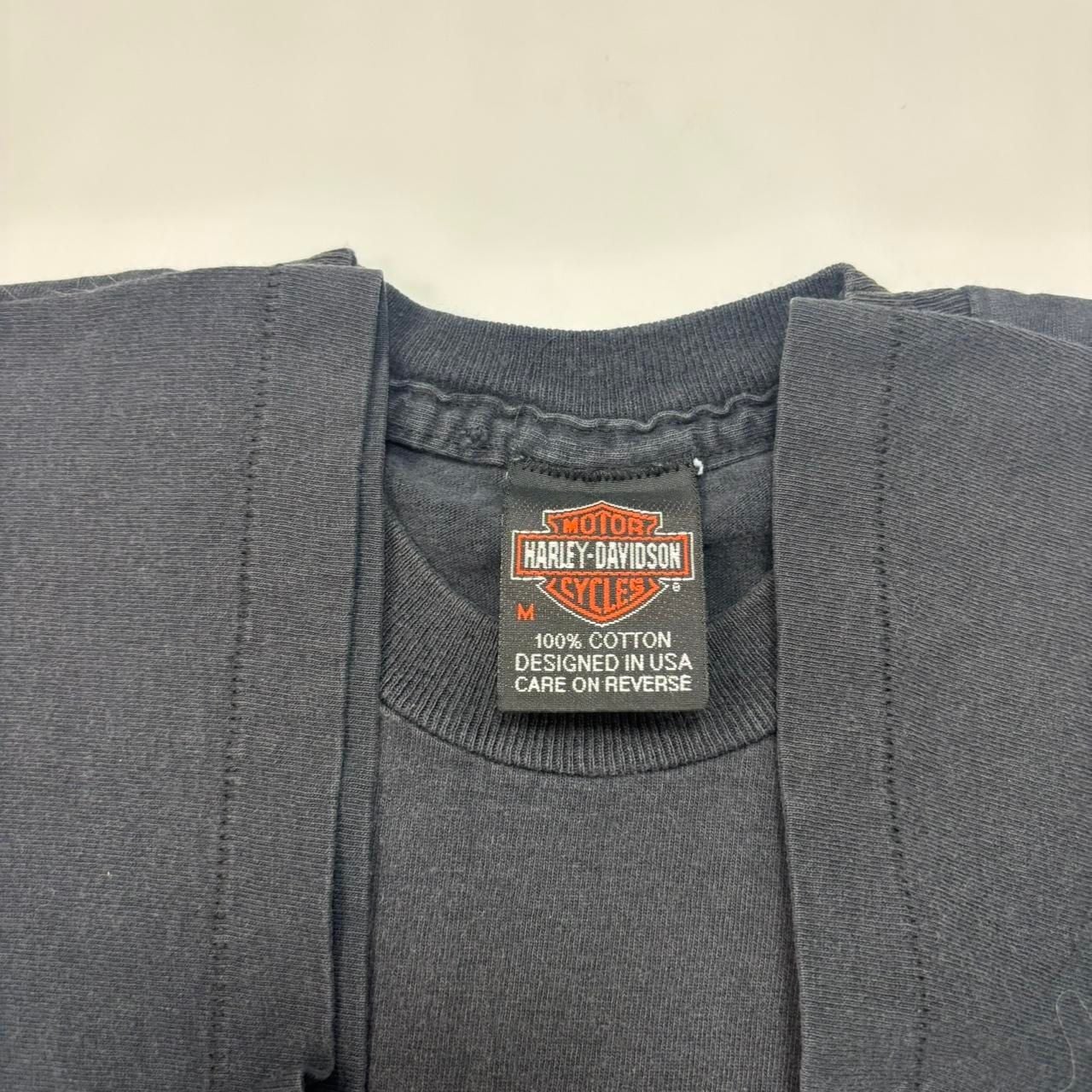 Harley-Davidson One World T-Shirt Size M Black France Graphic 4