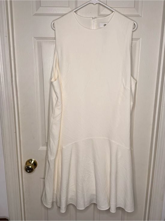 Banana Republic Ivory Sleeveless Drop Waist Ruffle Dress XXL NWT Lined 3