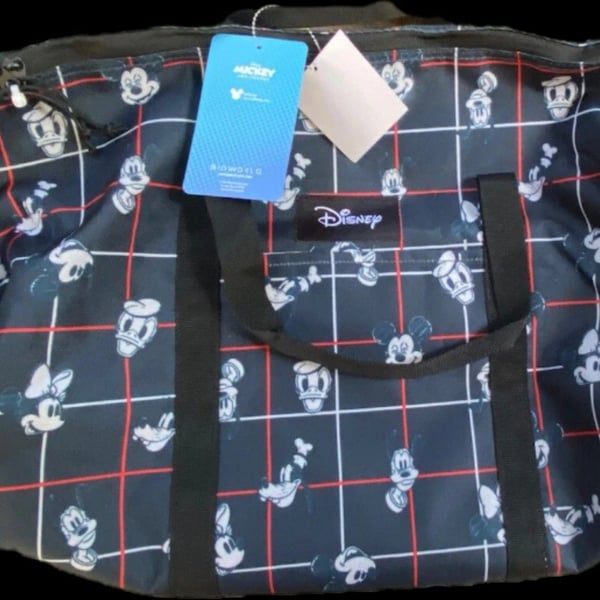 Disney bag