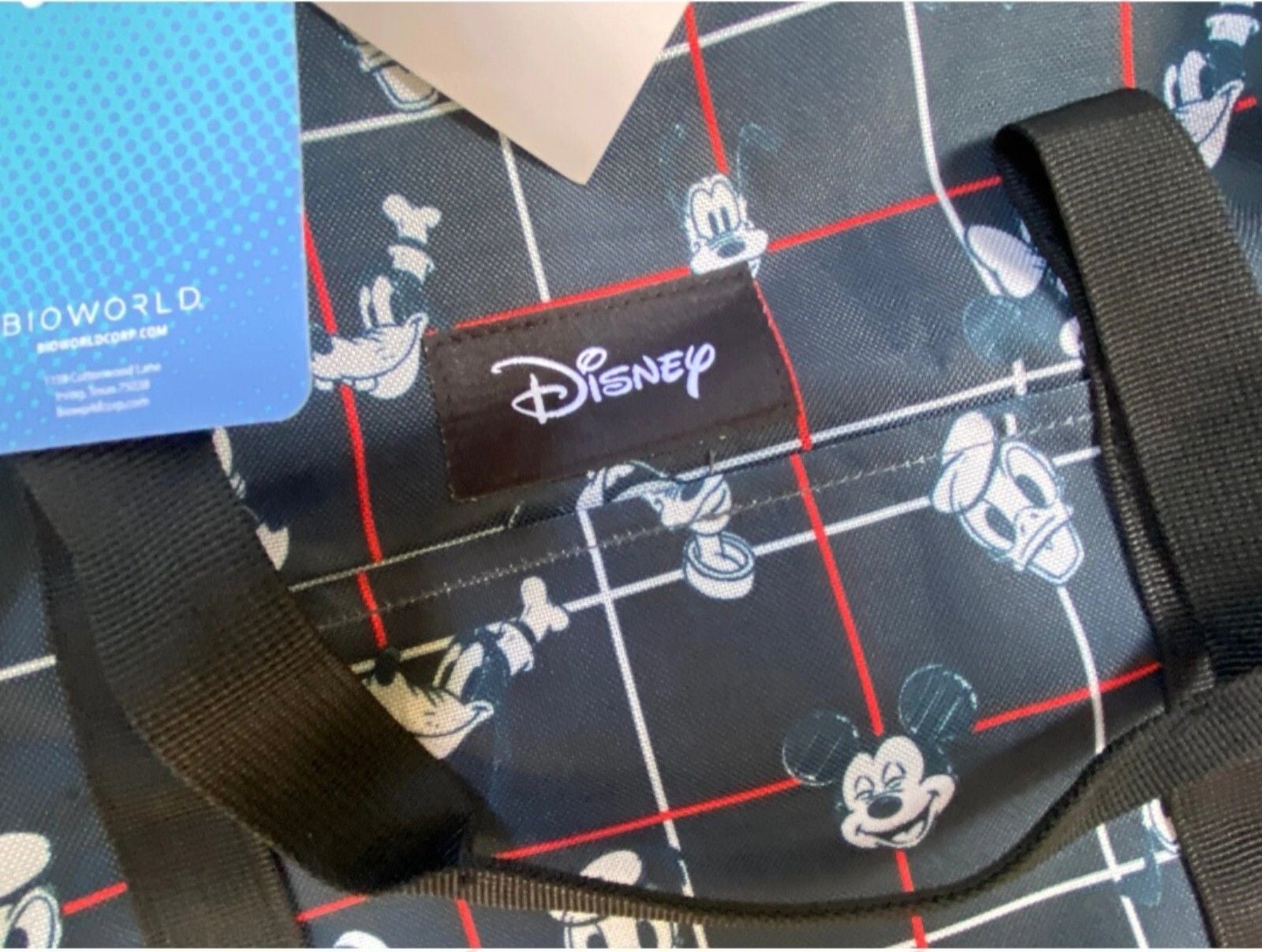 Disney bag 2