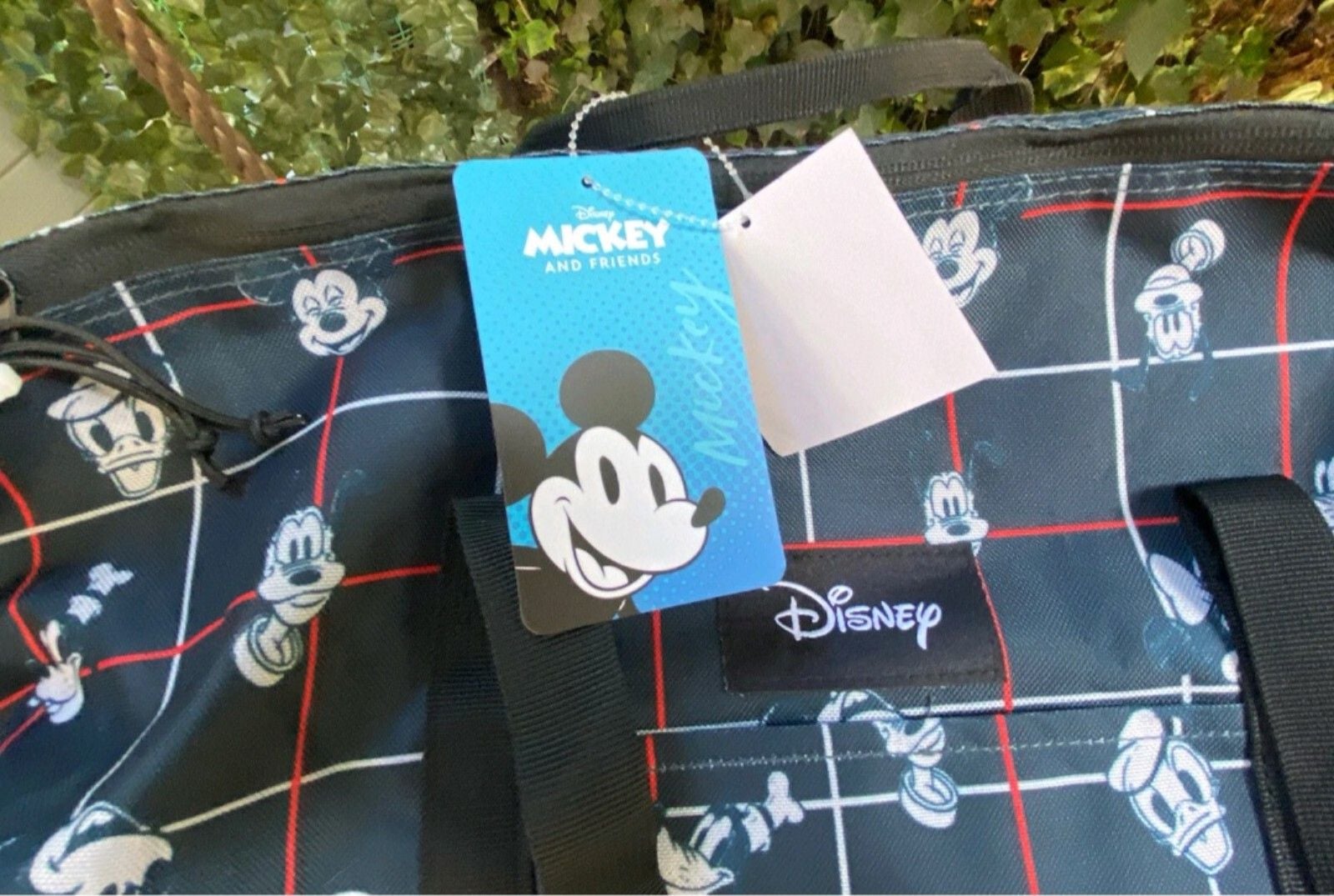 Disney bag 4