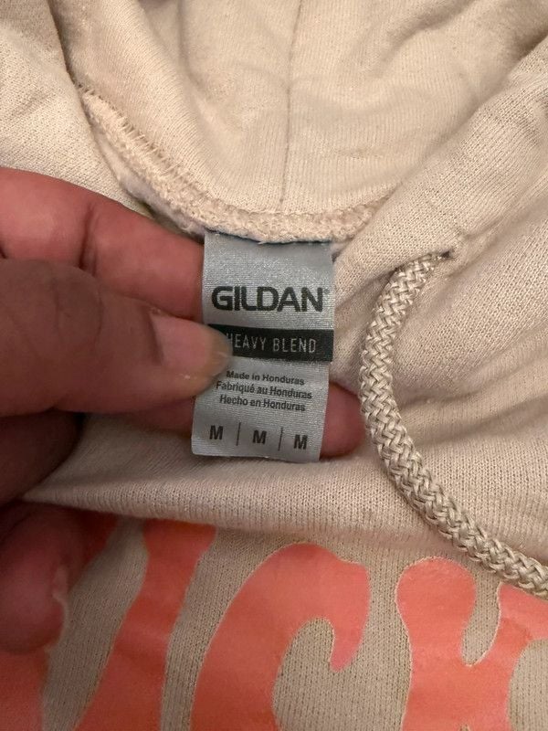 Gildan Fall Hoodie 3