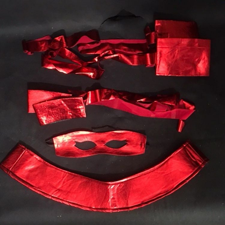 Teenage Mutant Ninja Turtles Raphael Costume 4