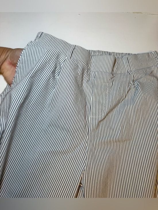 Shinestar Women’s Striped Trousers - Blue & White 7