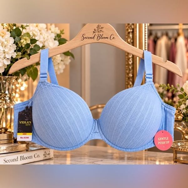 Viola’s Secret Light Blue Gentle Push Up Bra 40C NWT