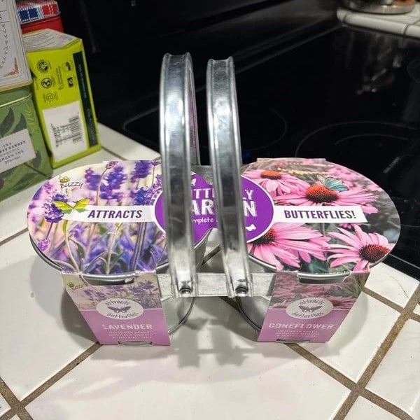 Lavender and Coneflower Butterfly garden grow kit