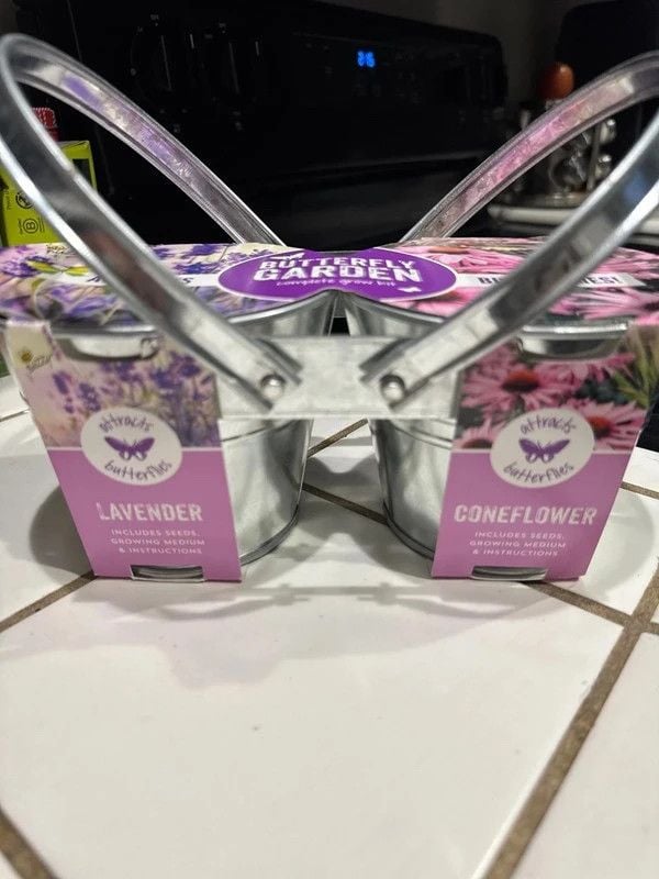 Lavender and Coneflower Butterfly garden grow kit 2