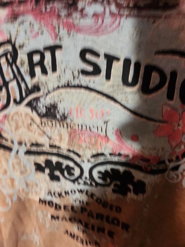 Vintage Y2K Jamee J Art Studio Graphic Top Whimsigoth Fairy Grunge 3/4 Sleeve 10