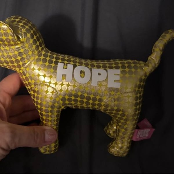 Victoria's Secret PINK gold dog with word HOPE