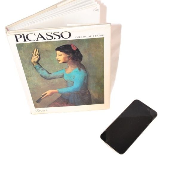 Picasso 1