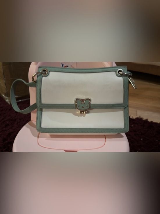 Cream and Sage Green Top-Handle Satchel with Bear Clasp 14