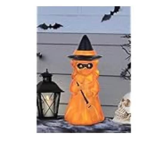 halloween outdoor decor. new 1
