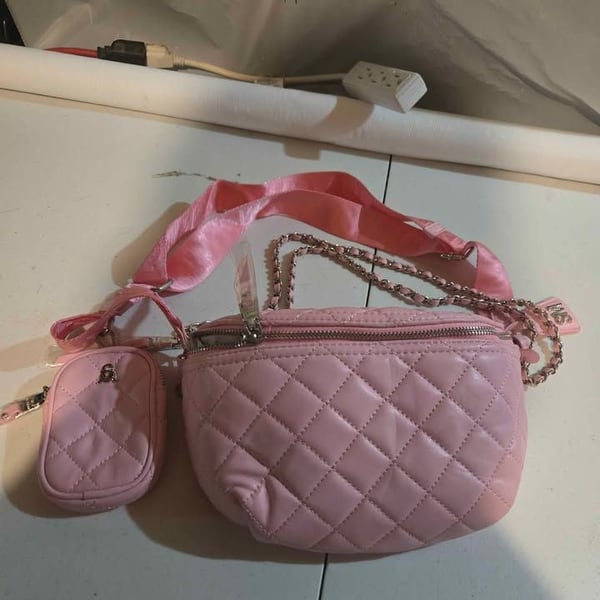 New Steve Madden crossbody and coin purse